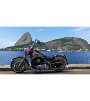 Sissy Bar King 20" Destacável para Harley-Davidson Softail Deluxe sem Bagageiro - Inox Polido