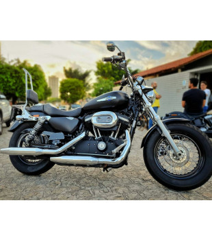 Sissy Bar King 30" Destacável para Harley-Davidson Sportster com Bagageiro Removivel - Inox Polido