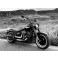 Guidão Ape Hanger Classic Rhino 2" para Harley-Davidson Fat Boy - Inox Polido