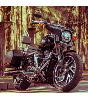 Protetor de Motor King Robust 1.1/4" para Harley-Davidson Softail Sport Glide - Inox Polido