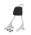 Sissy Bar King 20" Destacável para Harley-Davidson Sportster sem Bagageiro - Inox Polido