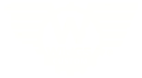 Wings Custom