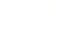 Wings Custom